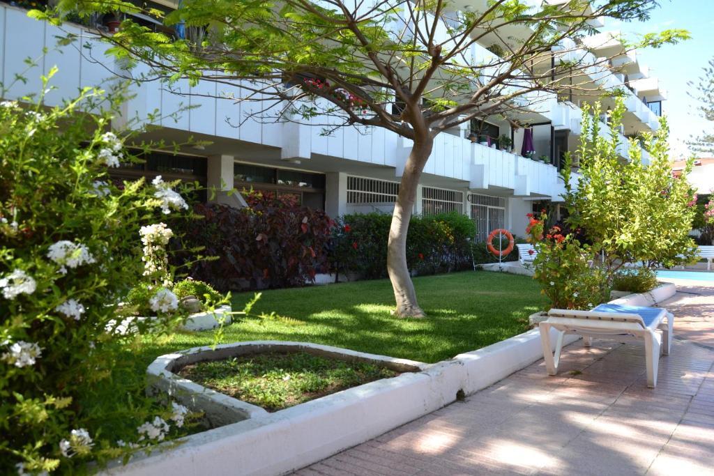 Apartament Don Quijote