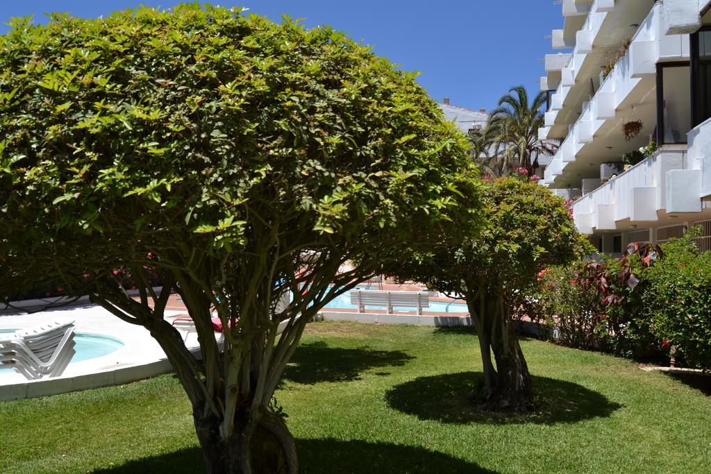 Apartament Don Quijote *