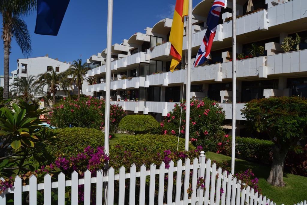 Apartament Don Quijote *